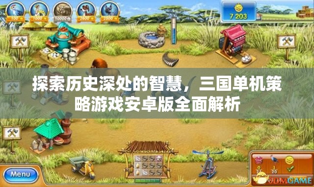 探索歷史智慧，全面解析三國單機(jī)策略游戲安卓版  第2張