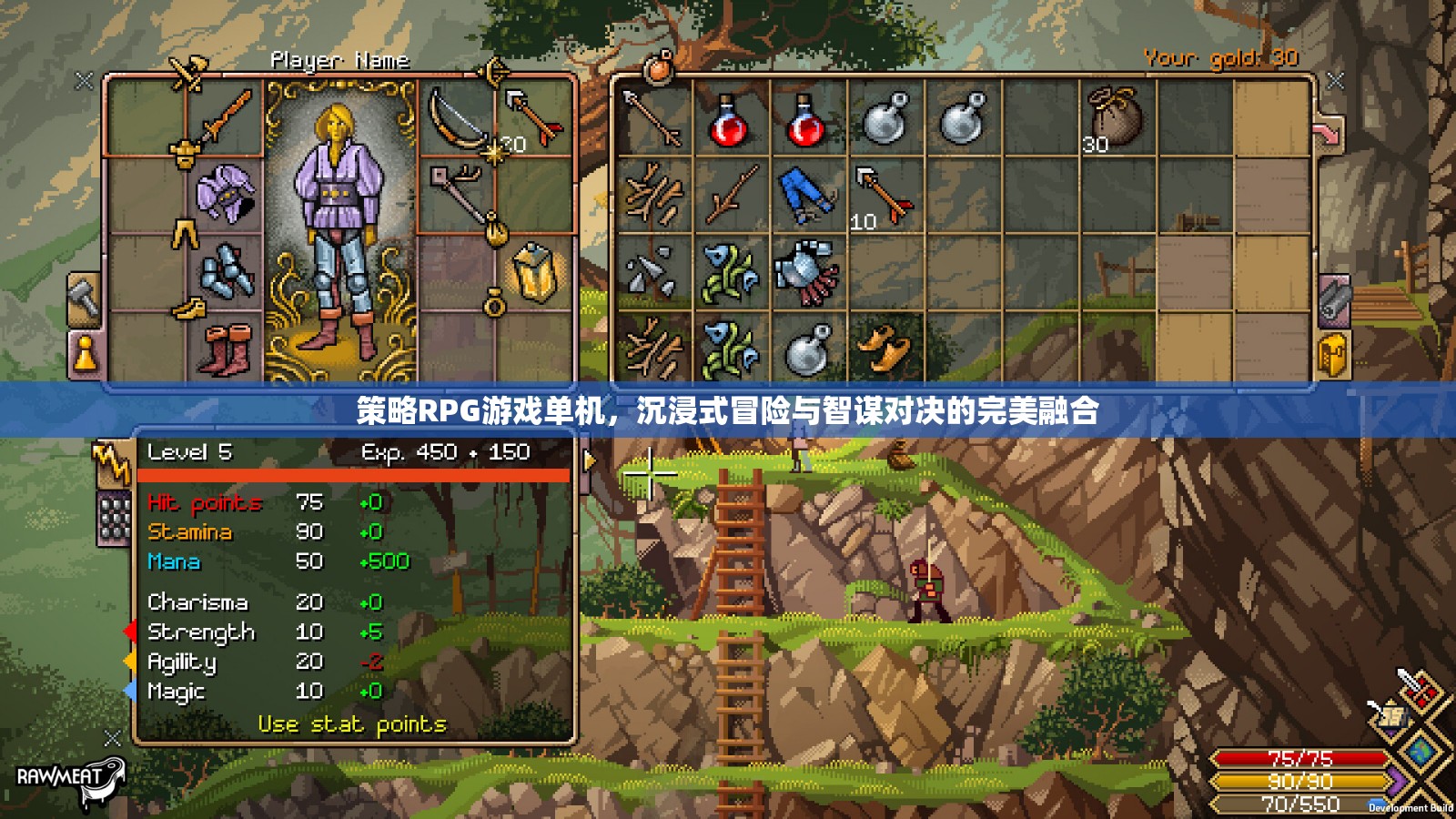 策略與冒險的交響，沉浸式單機策略RPG游戲  第1張