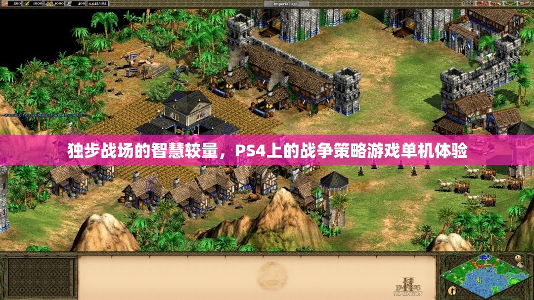 PS4上的戰(zhàn)爭智慧，獨步戰(zhàn)場的策略游戲體驗