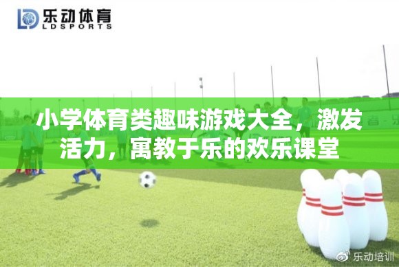 小學(xué)體育趣味游戲大全，激發(fā)活力，打造寓教于樂(lè)的歡樂(lè)課堂