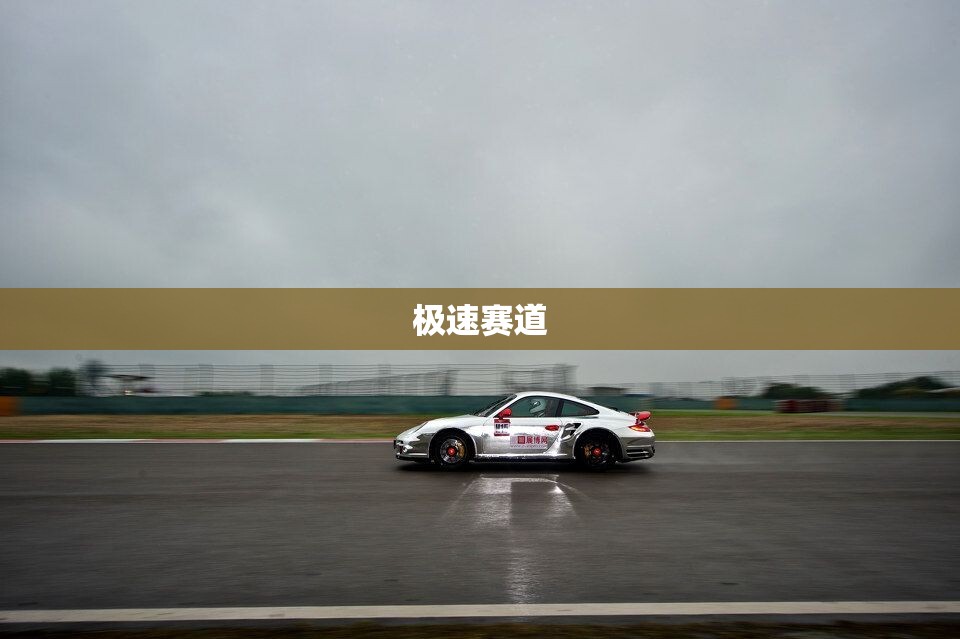 極速賽道，速度與激情的極限挑戰(zhàn)  第1張