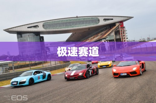 極速賽道，速度與激情的極限挑戰(zhàn)  第3張