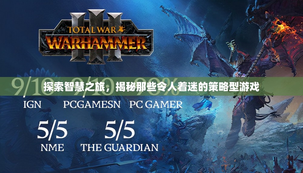智慧之旅，揭秘策略型游戲的魅力與奧秘
