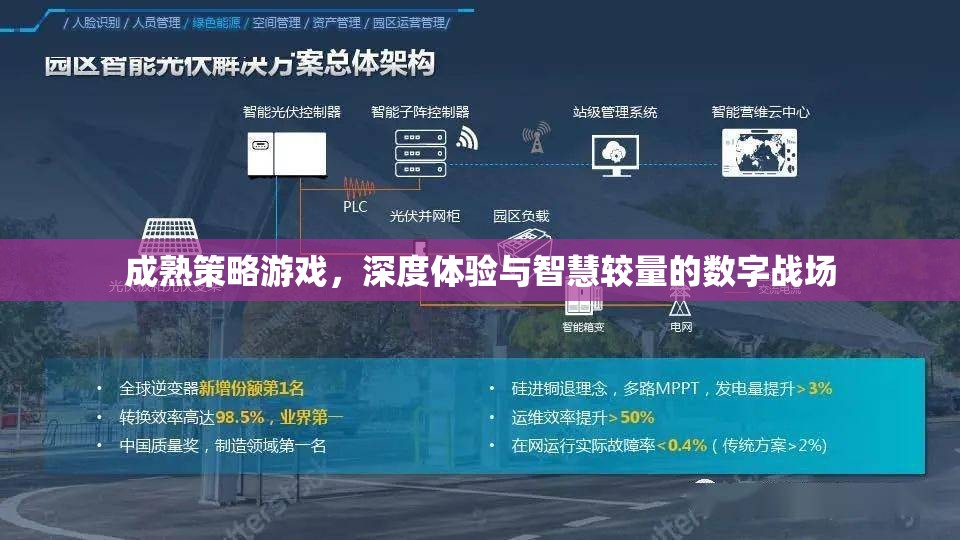 智慧與策略的數(shù)字戰(zhàn)場(chǎng)，深度體驗(yàn)成熟策略游戲