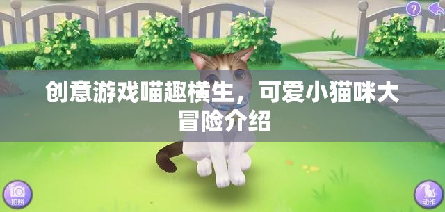 喵趣橫生，小貓咪的創(chuàng)意冒險之旅