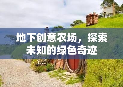 地下創(chuàng)意農(nóng)場，探索未知的綠色奇跡
