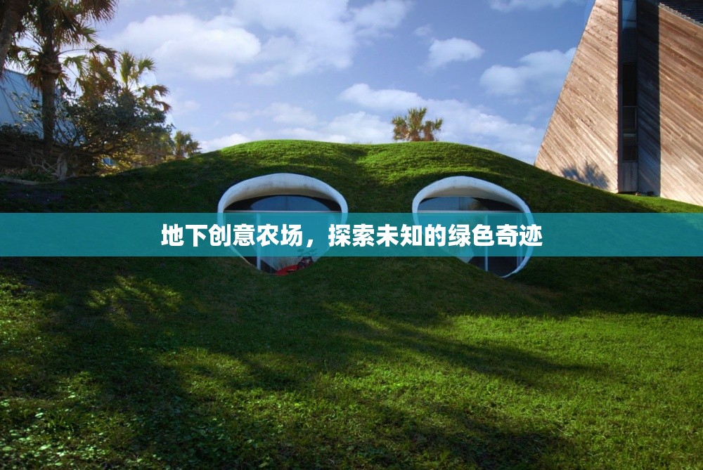 地下創(chuàng)意農(nóng)場，探索未知的綠色奇跡