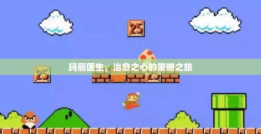 瑪麗醫(yī)生，治愈之心的策略之旅