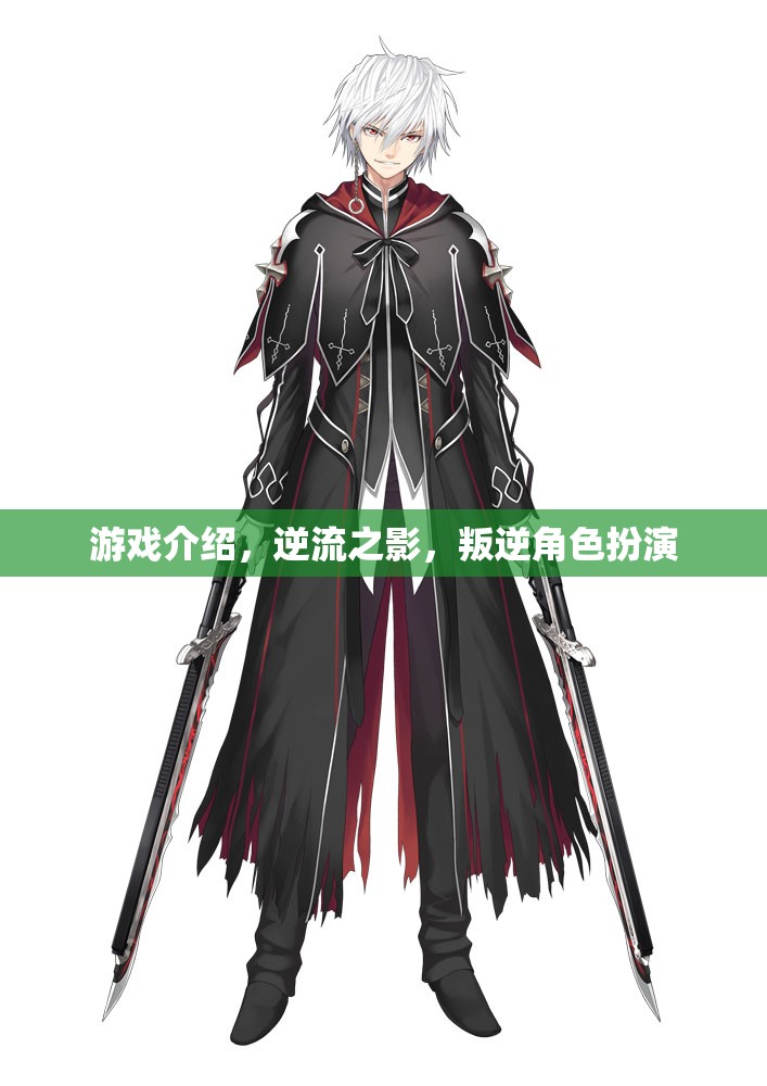 逆流之影，叛逆角色扮演的獨(dú)特游戲體驗(yàn)