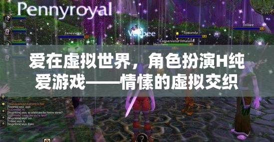 虛擬世界的純愛交織，角色扮演H游戲中的情愫