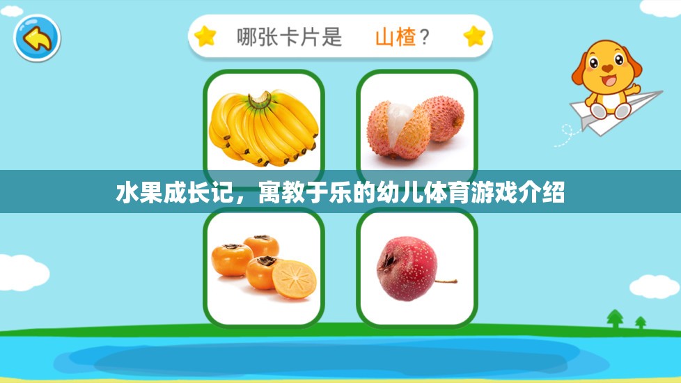 果趣成長，寓教于樂的幼兒體育游戲