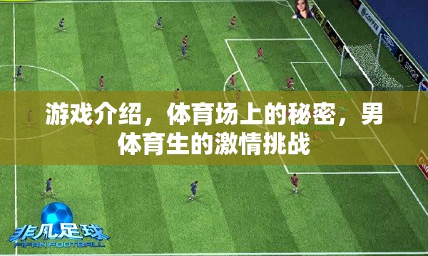 揭秘體育場上的秘密，男體育生的激情挑戰(zhàn)