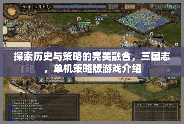 三國志，歷史與策略的完美交融——單機(jī)版游戲深度解析