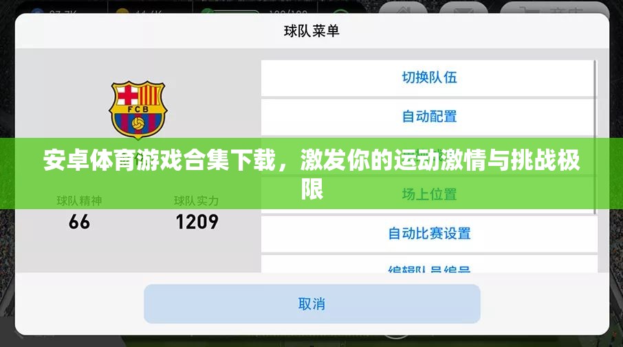安卓體育游戲合集，點燃運動激情，挑戰(zhàn)極限