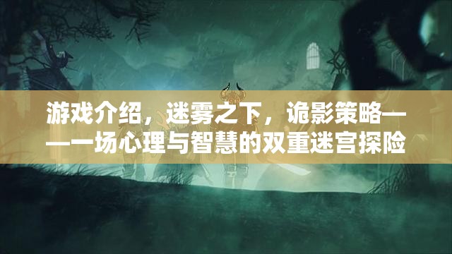 迷霧之下，詭影策略——心理與智慧的雙重迷宮探險(xiǎn)  第3張