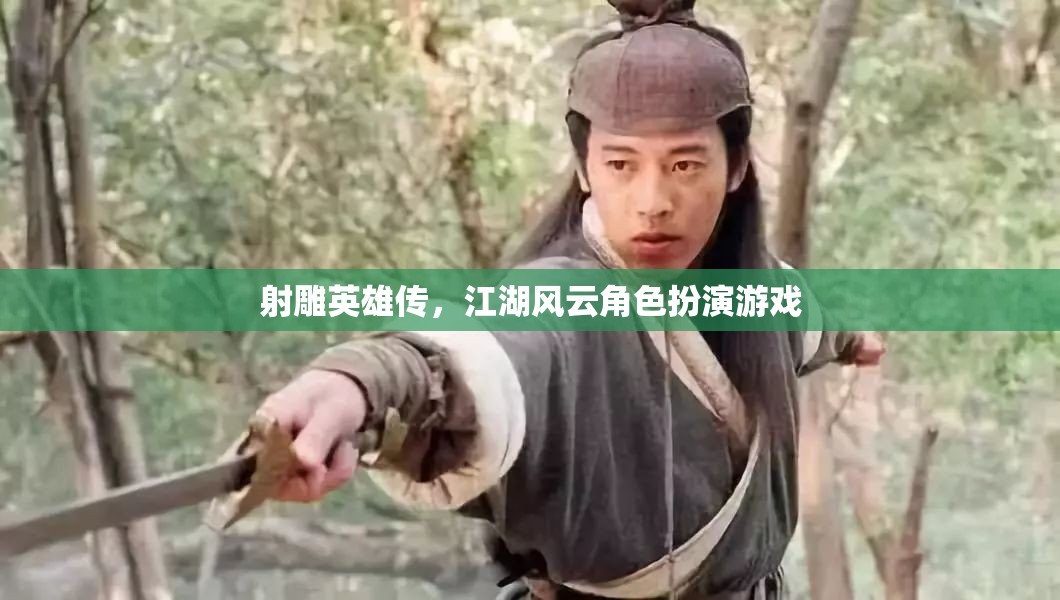 射雕英雄傳，江湖風(fēng)云角色扮演游戲