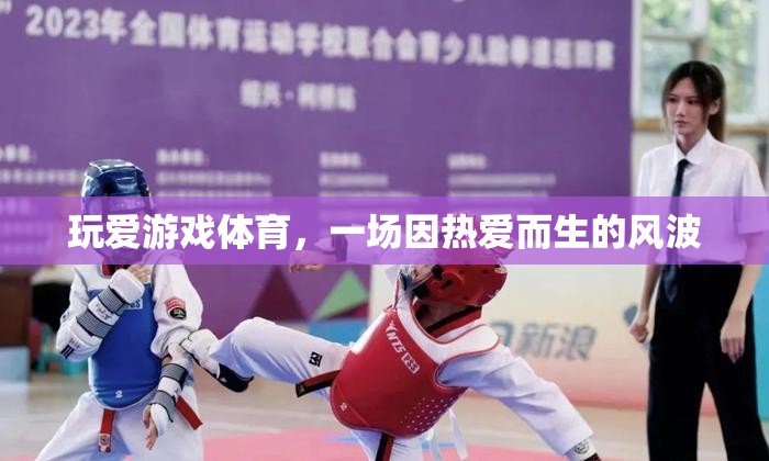 因熱愛(ài)而起的體育風(fēng)波，玩愛(ài)游戲體育的激情之旅