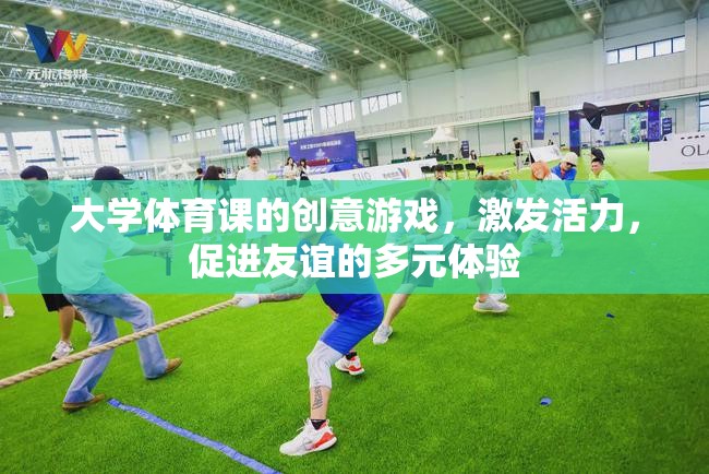 大學(xué)體育課的創(chuàng)意游戲，激發(fā)活力，促進(jìn)友誼的多元體驗(yàn)