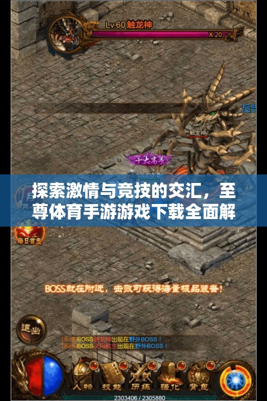 激情與競技的碰撞，至尊體育手游游戲下載全面解析