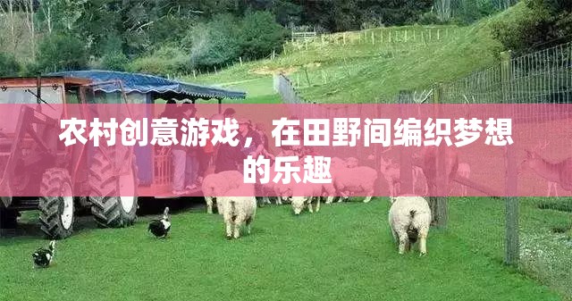 田野間的創(chuàng)意游戲，編織夢想的樂趣  第1張