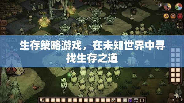 未知世界的生存挑戰(zhàn)，探索生存策略游戲