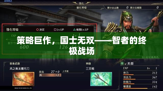 智者的終極戰(zhàn)場(chǎng)，策略巨作國(guó)士無雙