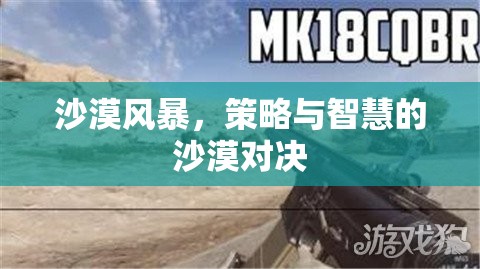 沙漠風(fēng)暴，策略與智慧的沙漠對(duì)決