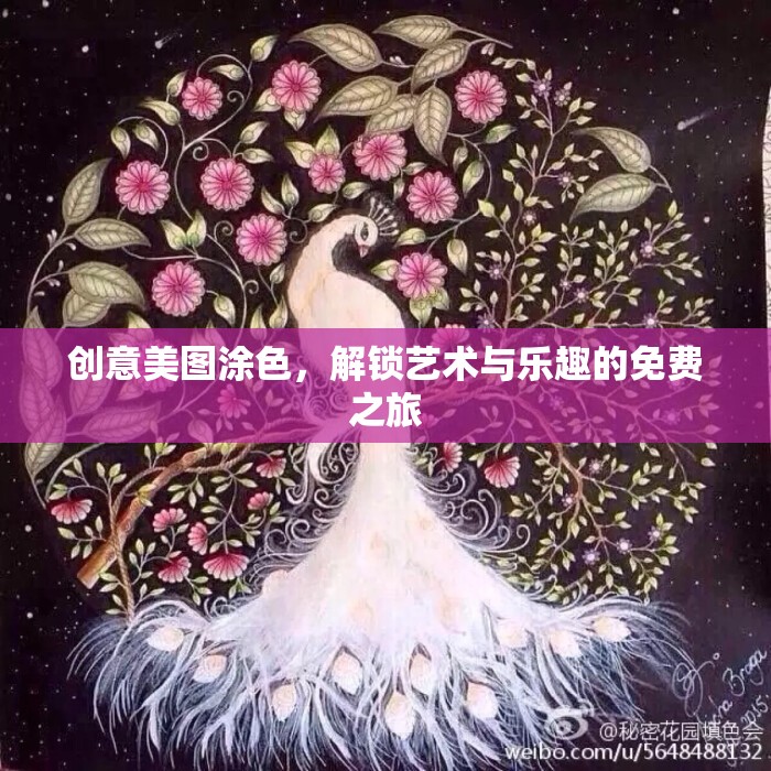 解鎖藝術與樂趣，免費創(chuàng)意美圖涂色之旅