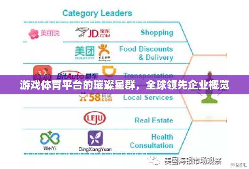 游戲體育平臺的璀璨星群，全球領(lǐng)先企業(yè)概覽