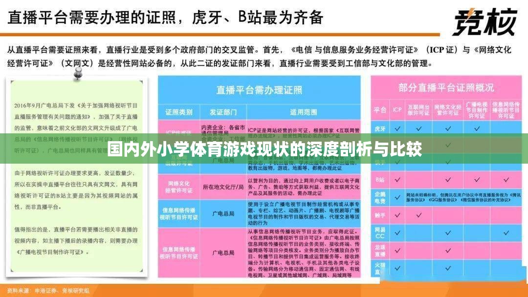 國內(nèi)外小學(xué)體育游戲現(xiàn)狀的深度剖析與比較  第3張