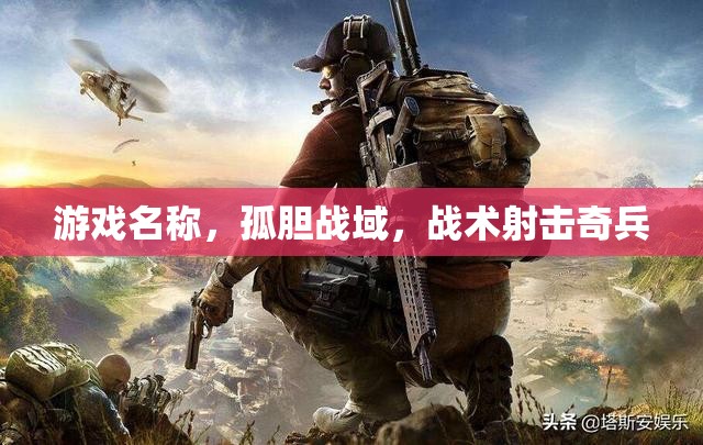 孤膽戰(zhàn)域，戰(zhàn)術(shù)射擊奇兵的極限挑戰(zhàn)  第2張