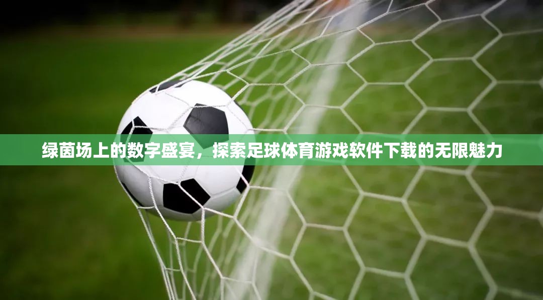 綠茵場上的數(shù)字盛宴，探索足球體育游戲軟件下載的無限魅力