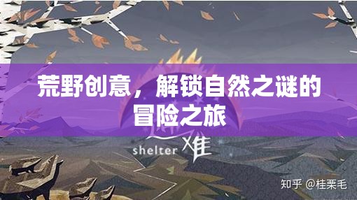 解鎖自然之謎，荒野創(chuàng)意的冒險(xiǎn)之旅