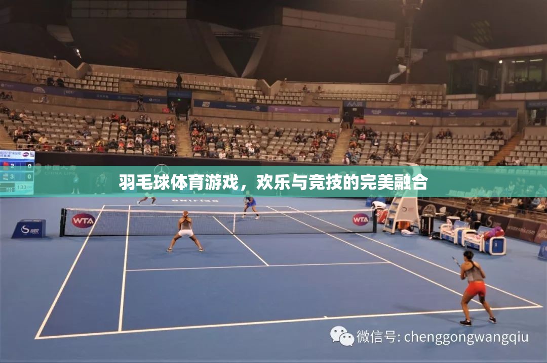 歡樂競技，羽毛球體育游戲的完美融合  第2張
