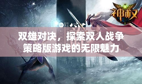 雙雄對決，解鎖雙人戰(zhàn)爭策略版游戲的無限魅力