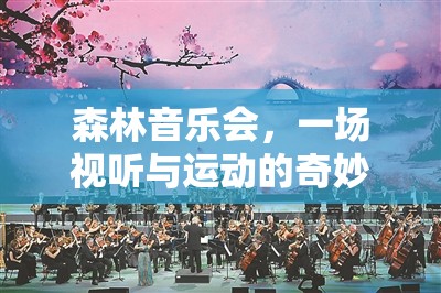 森林音樂會(huì)，視聽與運(yùn)動(dòng)的夢(mèng)幻交響