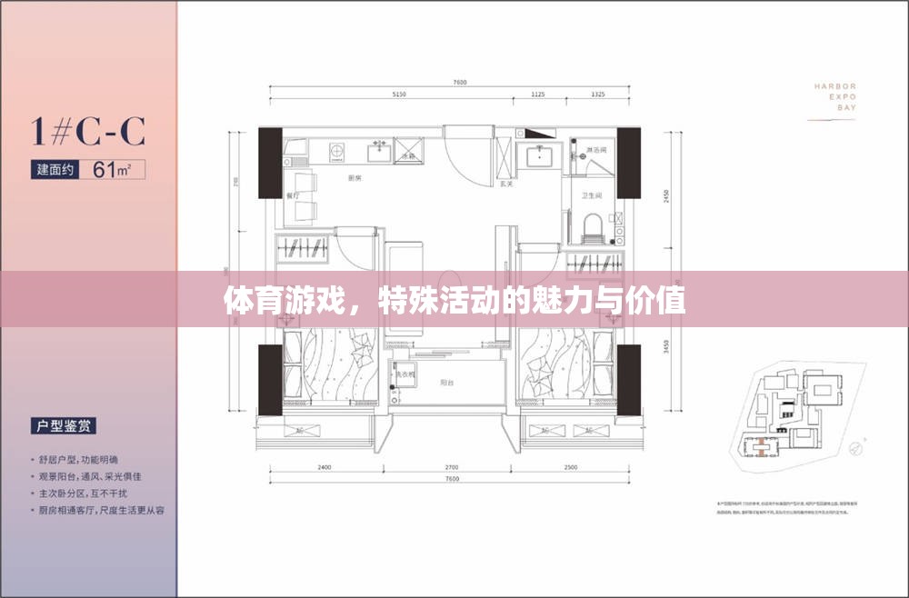 體育游戲，特殊活動的魅力與價值探索