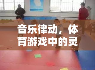 音樂律動(dòng)，體育游戲中的靈魂之音——全面探索音樂對(duì)體育游戲體驗(yàn)的影響