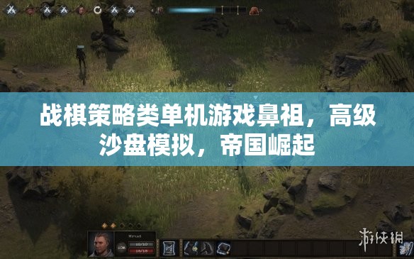 戰(zhàn)棋策略類單機游戲鼻祖，帝國崛起的高級沙盤模擬  第1張