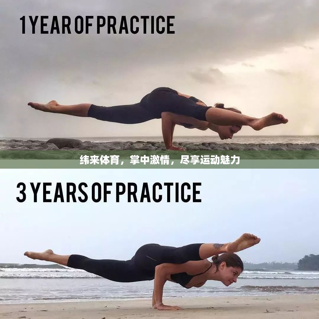 掌中激情，緯來(lái)體育盡享運(yùn)動(dòng)魅力