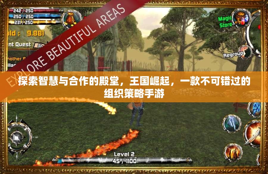 王國崛起，探索智慧與合作的策略手游
