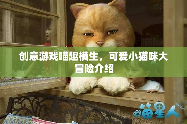 喵趣橫生，小貓咪的創(chuàng)意冒險之旅