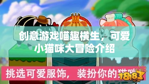 喵趣橫生，小貓咪的創(chuàng)意冒險之旅