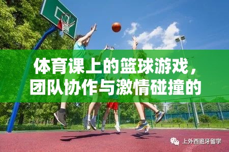 籃球場(chǎng)上的激情碰撞，體育課上的團(tuán)隊(duì)協(xié)作與挑戰(zhàn)