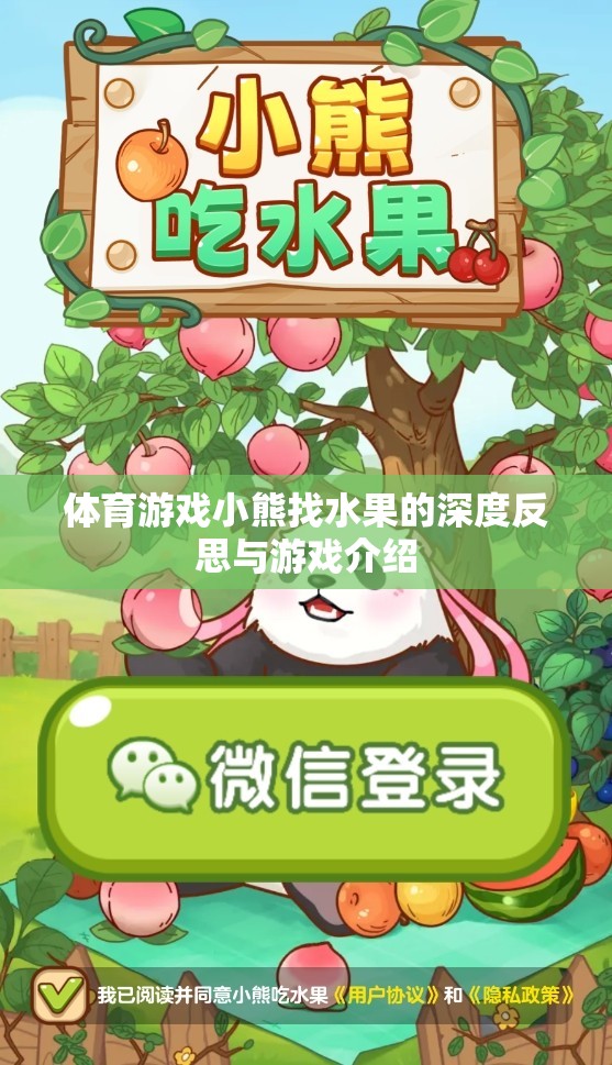 體育游戲小熊找水果的深度反思與游戲介紹
