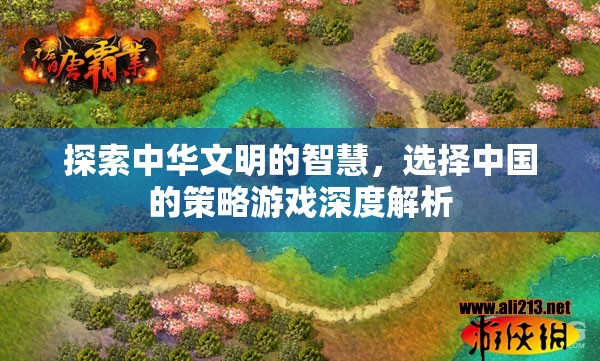 探索中華智慧，深度解析中國(guó)策略游戲的策略選擇