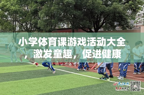 小學體育課游戲活動大全，激發(fā)童趣，促進健康