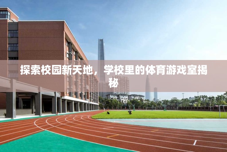 校園新天地，揭秘學校里的體育游戲室