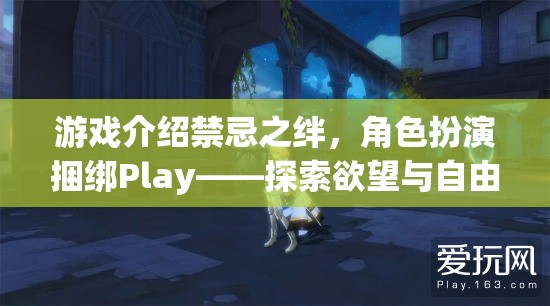 禁忌之絆，角色扮演捆綁Play——探索欲望與自由的邊緣  第1張