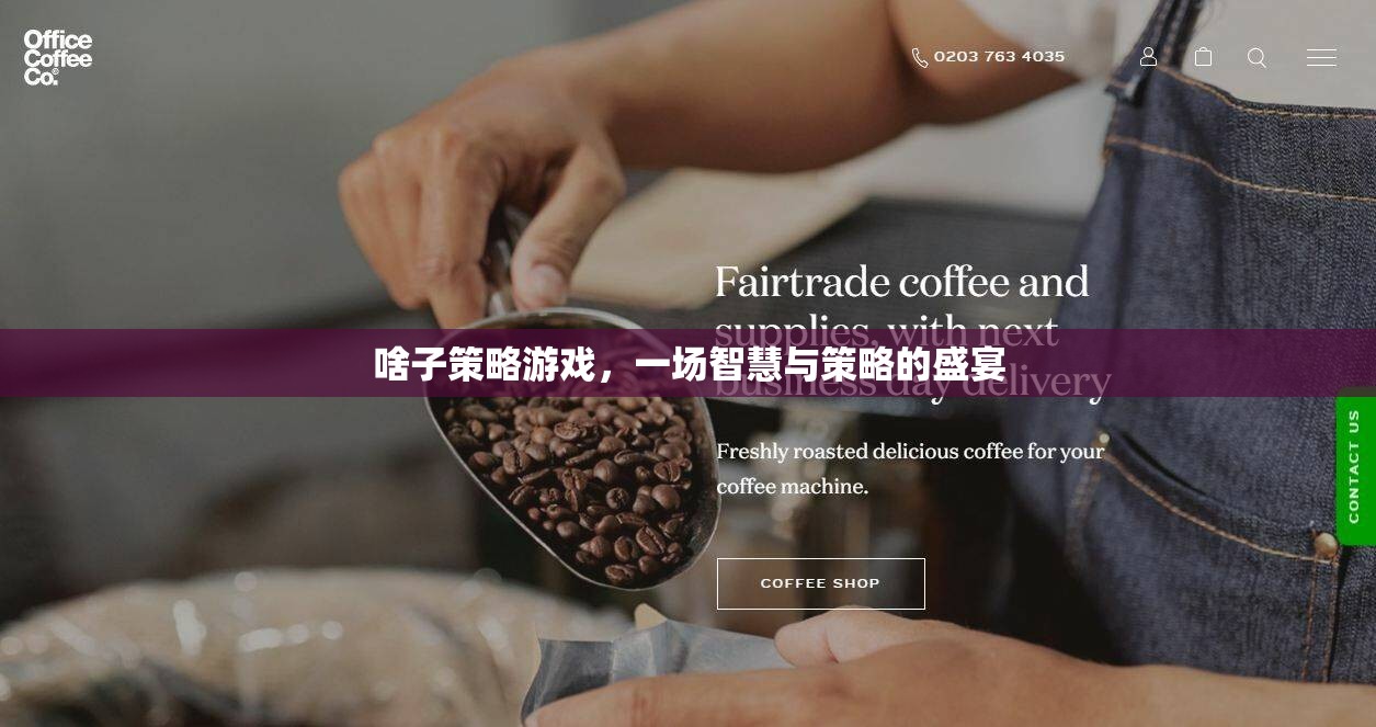 智慧與策略的盛宴，探索策略游戲
